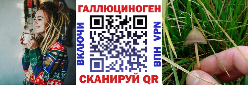 Галлюциногенные грибы GOLDEN TEACHER  Ступино 
