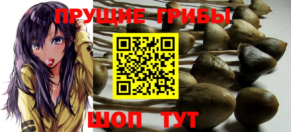 Псилоцибиновые грибы мицелий Ступино