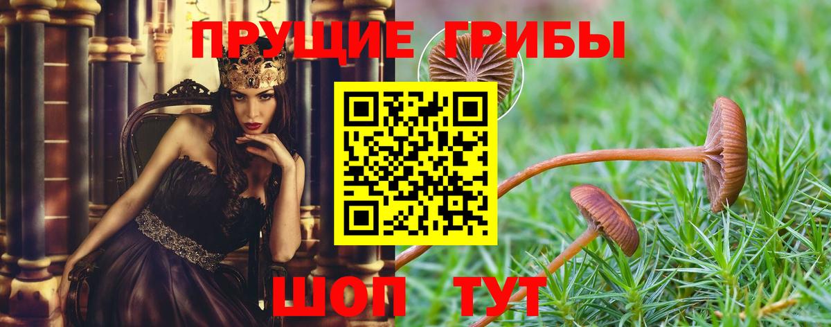 где можно купить наркотик  Псилоцибиновые грибы Psilocybe  Вход с VPN  Ступино 